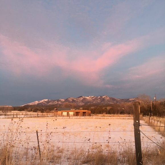 Meet your Posher, Holly jean - Picture 1 of 1